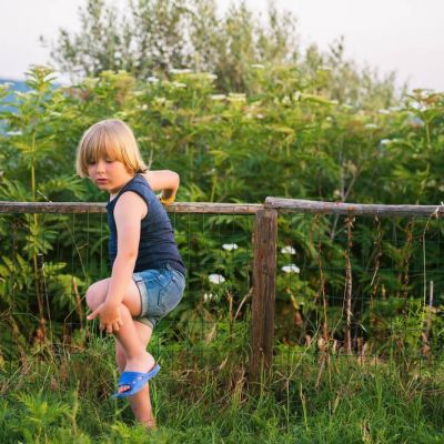 Alergie pokarmowe, skórne, pokrzywka